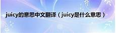 juicy是什么意思